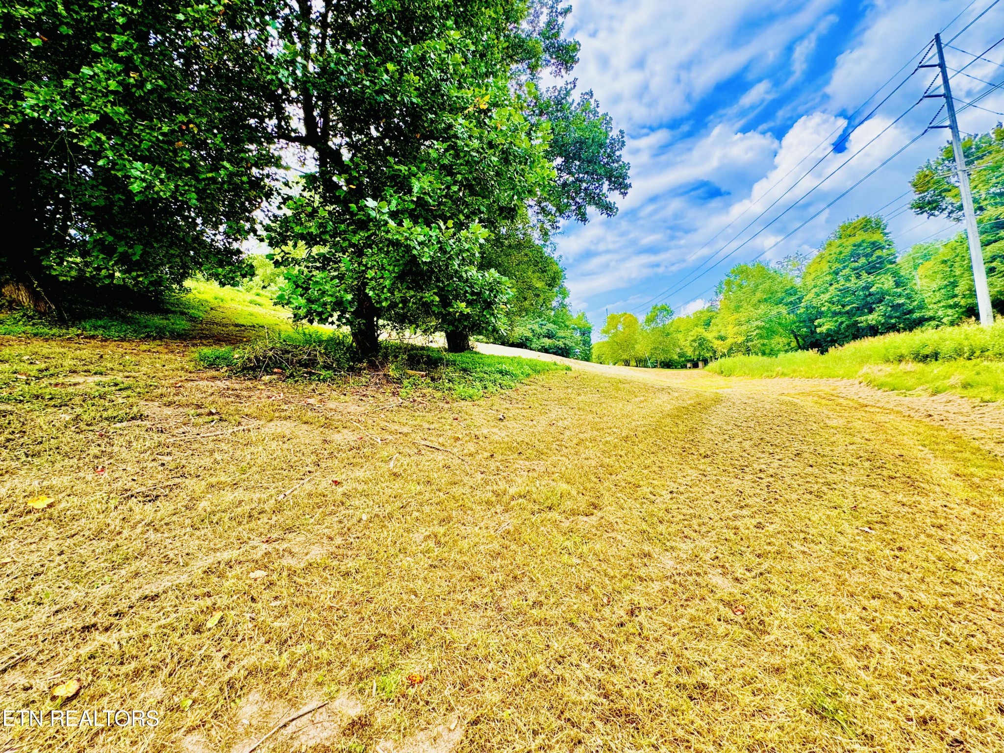 Land in Kodak