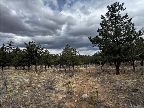 30583 Timberline Dr, Buena Vista, CO, 81211 | Card Image