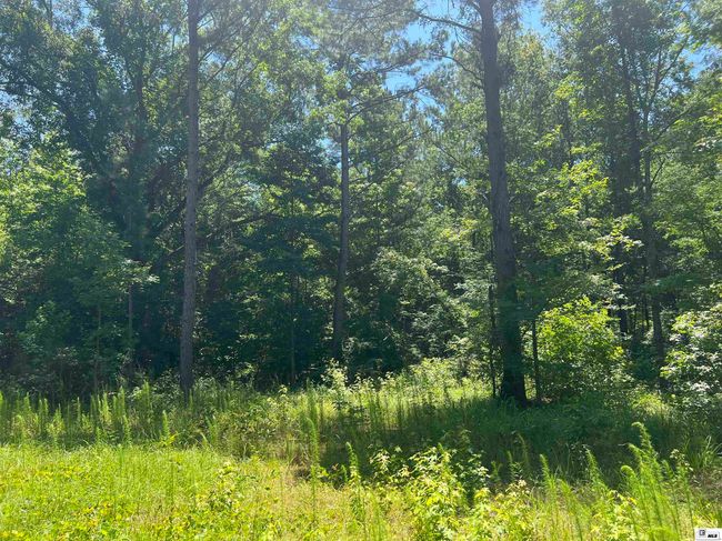 000 Highway 146, Home with 0 bedrooms, 0 bathrooms and null parking in Ruston LA | Image 6