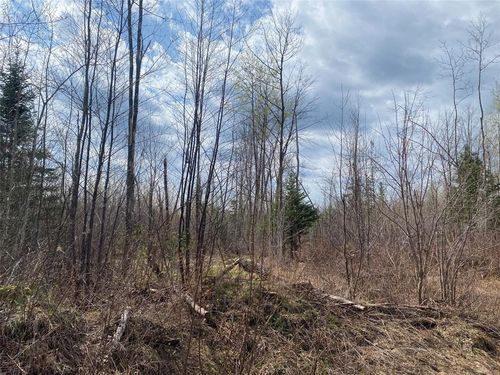 Near Wilson Lake Road, ELK, WI, 54555 | Card Image