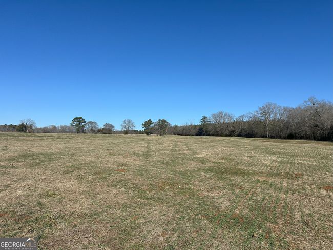 2018 Elberton Rd, Home with 0 bedrooms, 0 bathrooms and null parking in Carlton GA | Image 15