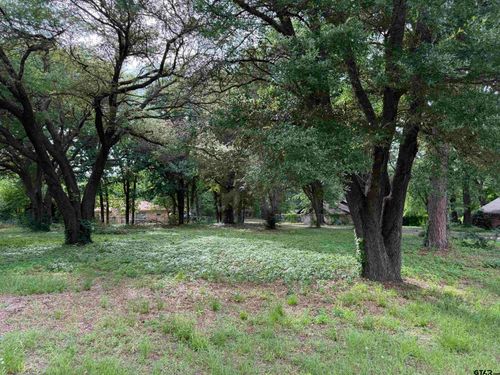 TBD Oakleigh Street, Hawkins, TX, 75765 | Card Image