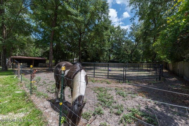 Horse Pasture. | Image 50