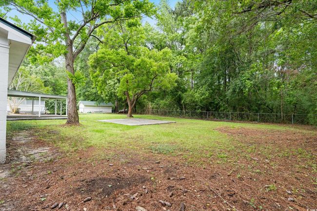 View of yard featuring a patio area | Image 15