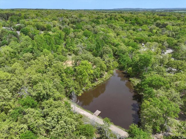 8950 Timber Rdg, Home with 0 bedrooms, 0 bathrooms and null parking in Larue TX | Image 7