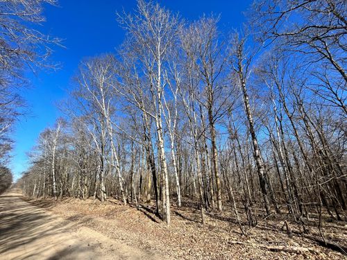 TBD Cherry Lake Rd, Ogema, MN, 56569 | Card Image