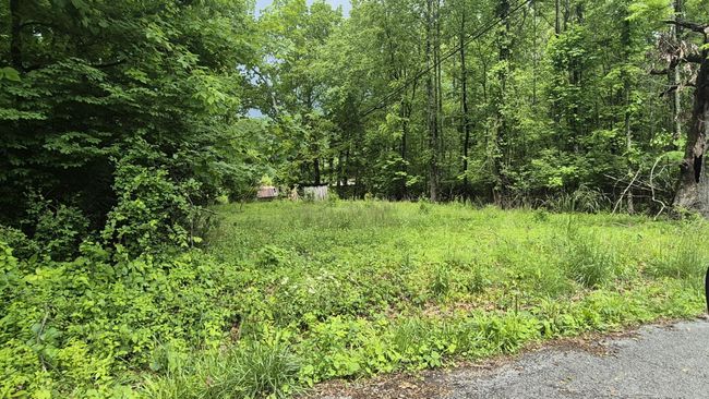 405 Spring St, House other with 3 bedrooms, 2 bathrooms and null parking in Monteagle TN | Image 30