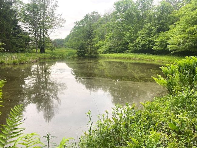 3656 Putt Brook Rd, House other with 1 bedrooms, 1 bathrooms and null parking in Scio NY | Image 27