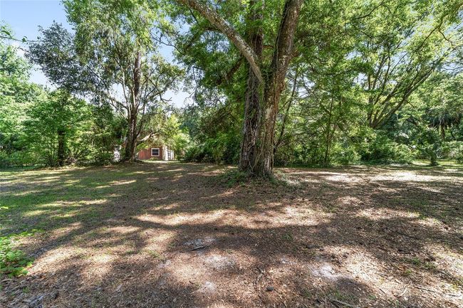 13207 Sw Williston Rd, House other with 3 bedrooms, 2 bathrooms and null parking in MICANOPY FL | Image 55
