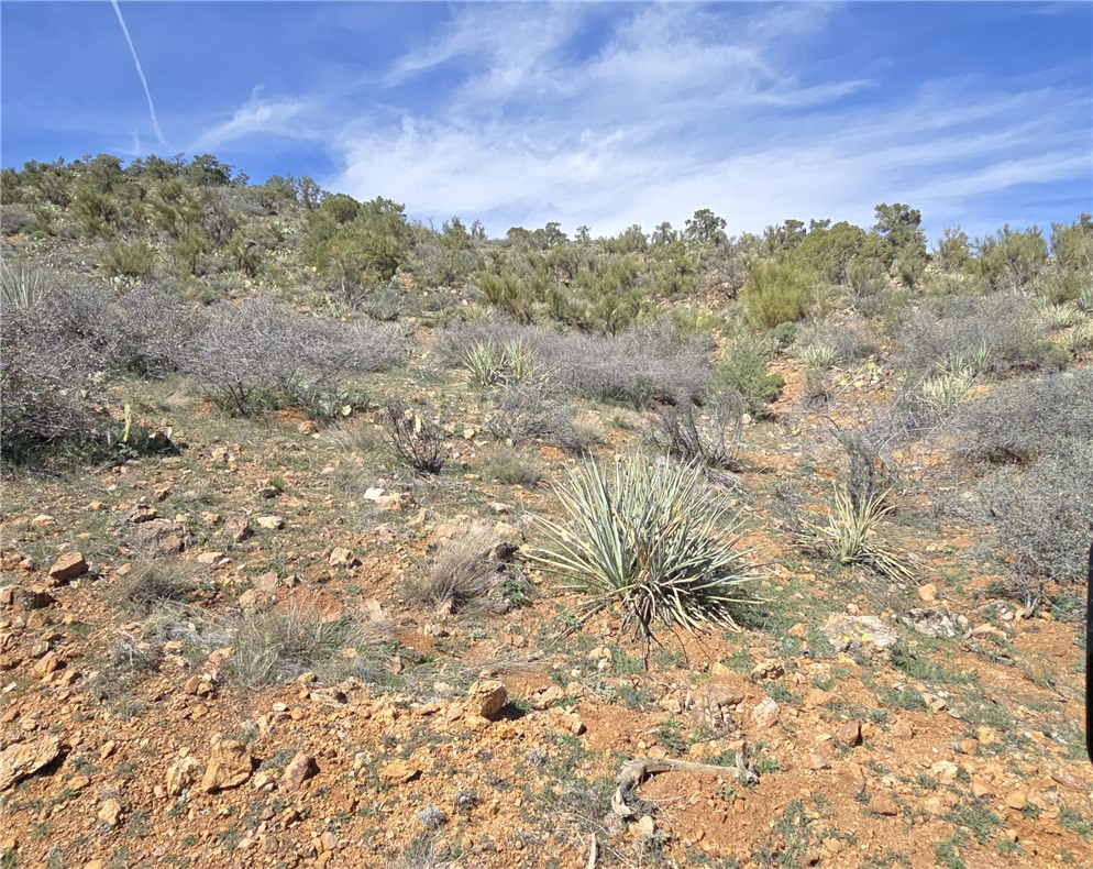 Land in Kingman