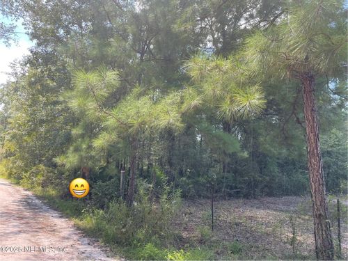 3871 Hamp Hicks Rd, Bryceville, FL, 32009-1151 | Card Image