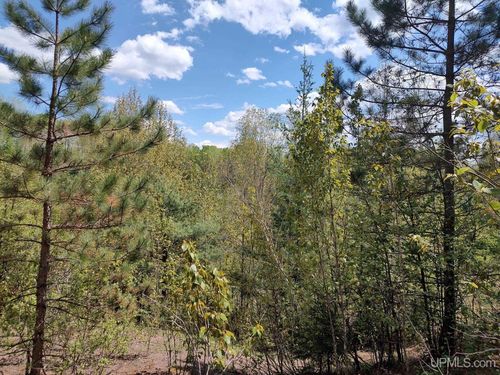 TBD Dunham Road, Marenisco, MI, 49947 | Card Image