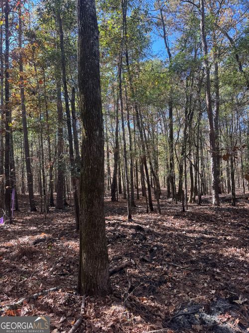 157 W Drummond Rd, West Point, GA, 31833-5073 | Card Image