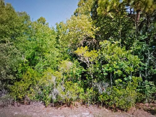 2531 W Dolphin Drive, Citrus Springs, FL, 34434 | Card Image