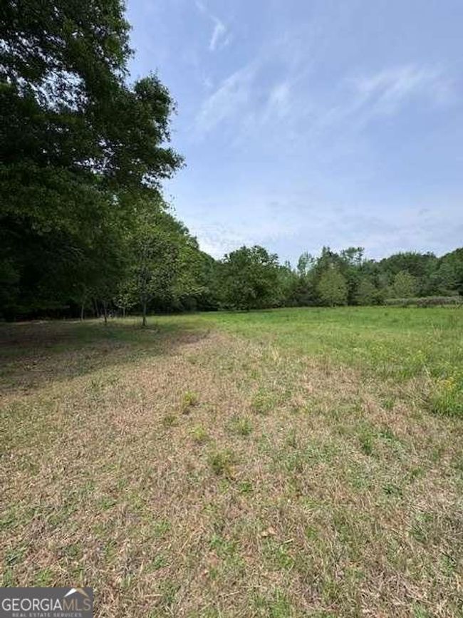 0 Deep Creek Rd, Home with 0 bedrooms, 0 bathrooms and null parking in Dewy Rose GA | Image 9