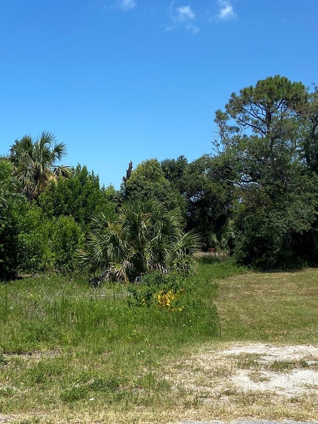 117 Atlantic St, Home with 0 bedrooms, 0 bathrooms and null parking in Port St. Joe FL | Image 17