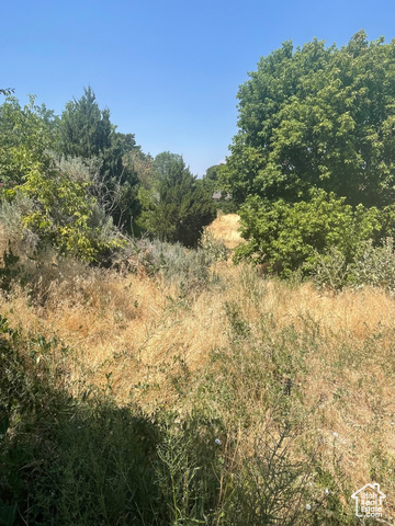5600 , Salt Lake City, UT 84107