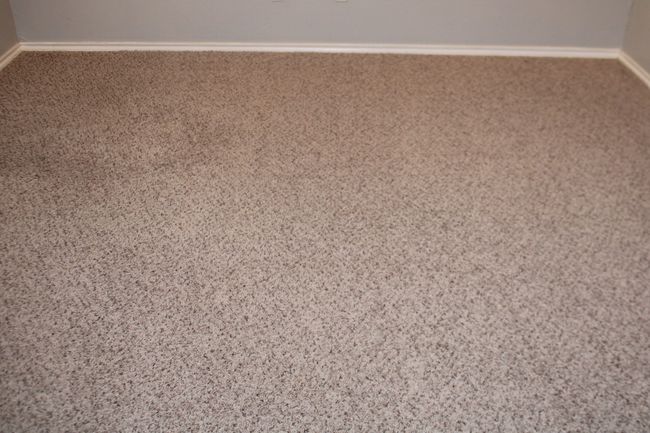 Details featuring baseboards and carpet | Image 7