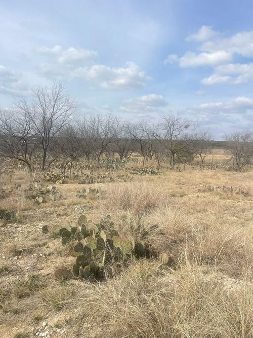 TBD County Road 221, Brookesmith, TX, 76827 | Card Image