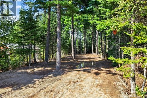 1 Rue Des Pins, Aldouane, NB, E4W | Card Image