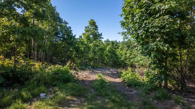 10 acre hobby farm006 | Image 9