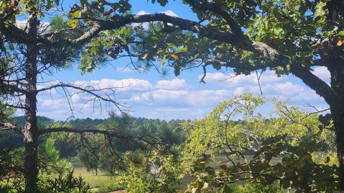 224 (Lot#15N) Revas Way, Story, AR, 71970-8207 | Card Image