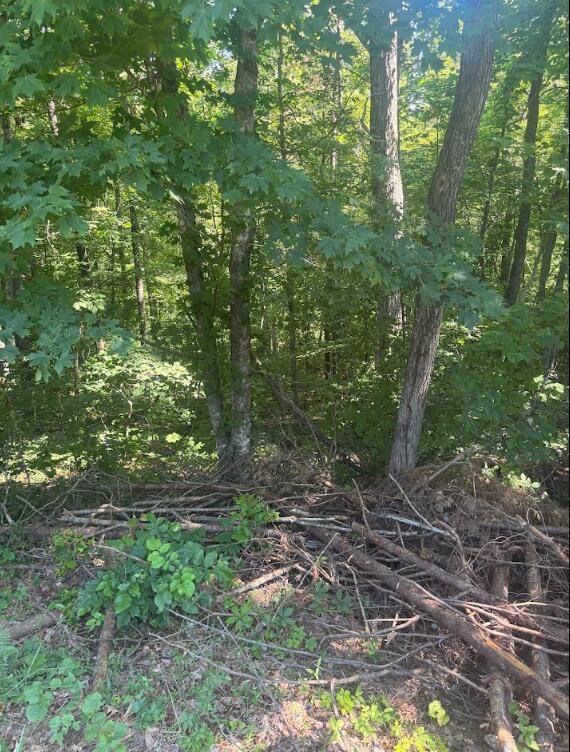 Land in Burnside 3