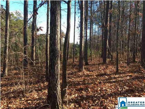 57-57 Bells Ln, VINCENT, AL, 35178 | Card Image