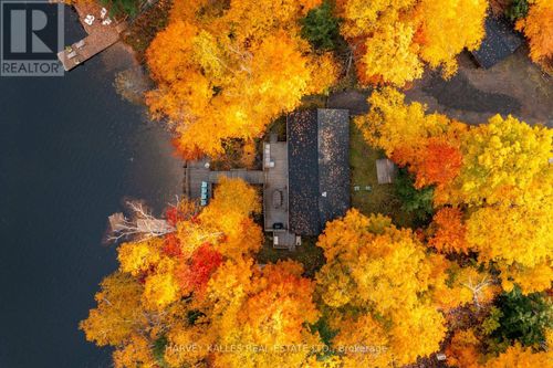 1149 Kendon Road, Muskoka Lakes (Medora), ON, P0C1A0 | Card Image