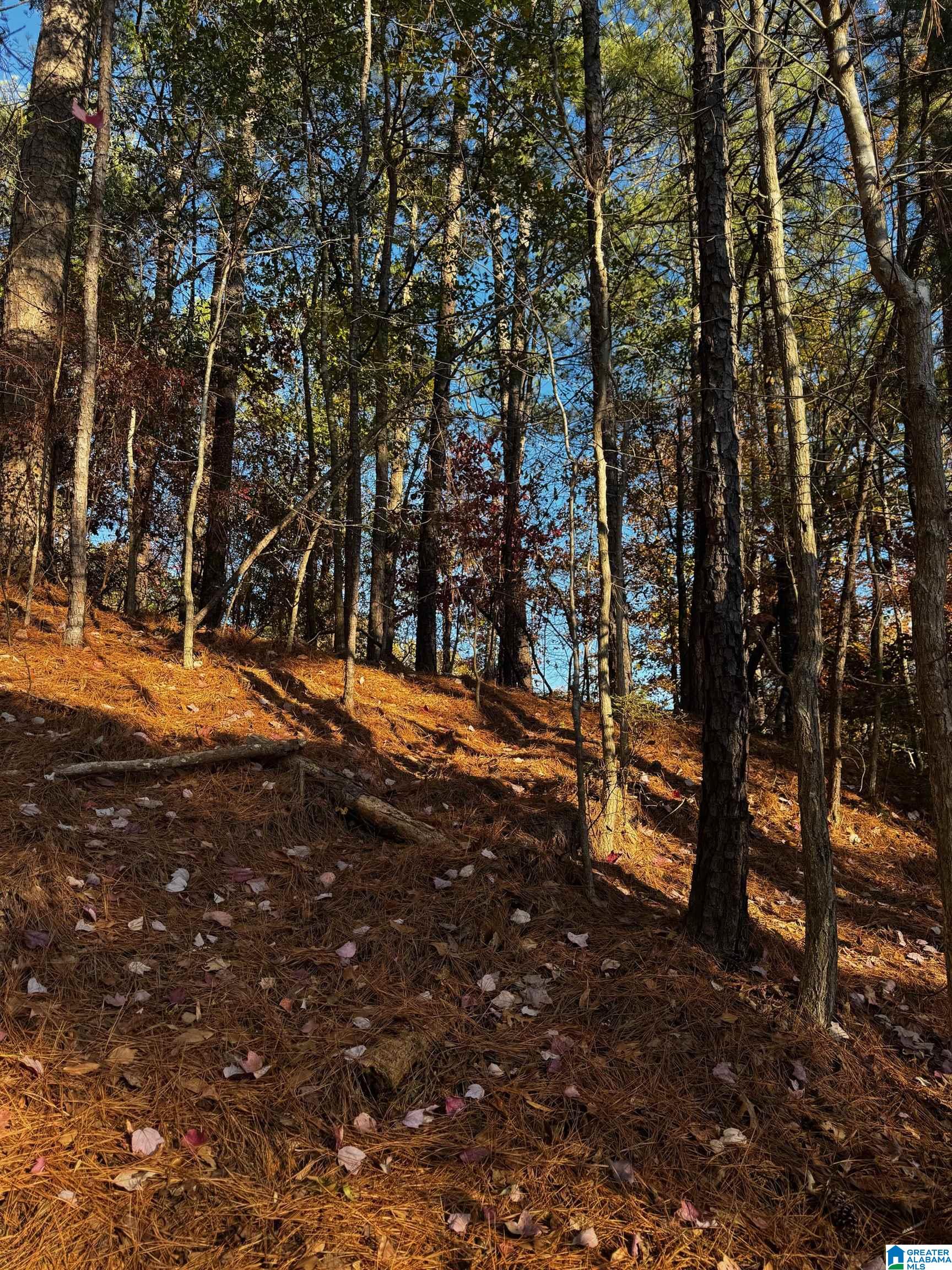 Land in VESTAVIA HILLS