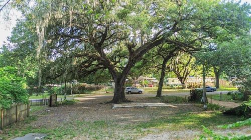 38319 Stebbins Avenue, Zephyrhills, FL, 33542 | Card Image