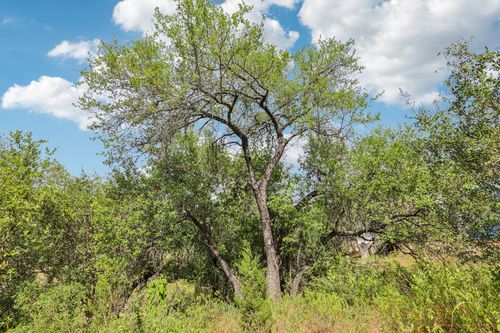 12610 River Bnd, Austin, TX, 78732-6113 | Card Image