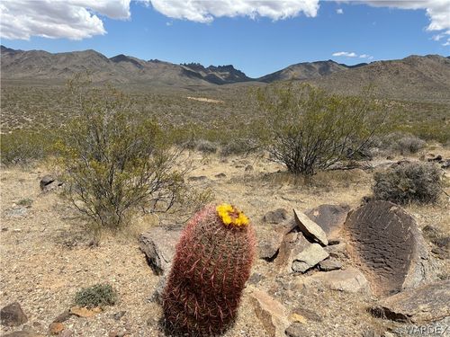 316-05-033 June Road, Dolan Springs, AZ, 86441 | Card Image