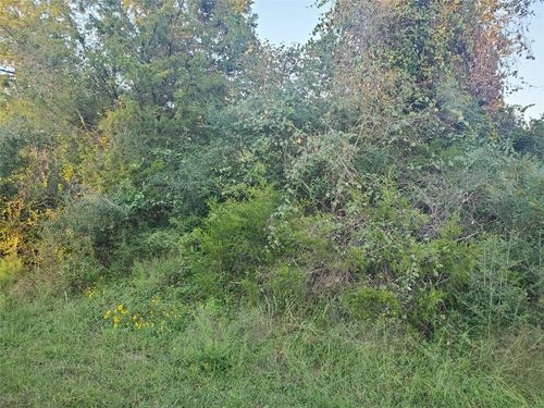 0 N Council Dr, Hempstead, TX, 77445 | Card Image