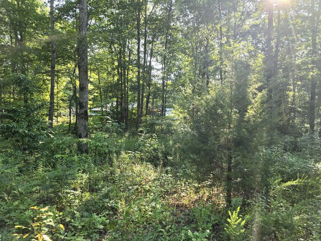2185 Northcutts Cove Rd, House other with 1 bedrooms, 1 bathrooms and 4 parking in Beersheba Springs TN | Image 20
