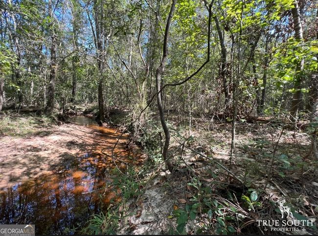 0 John S Horton Rd, Home with 0 bedrooms, 0 bathrooms and null parking in Adrian GA | Image 14
