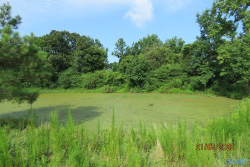Tract 10 Brown Rd, Boaz, AL, 35957 | Card Image