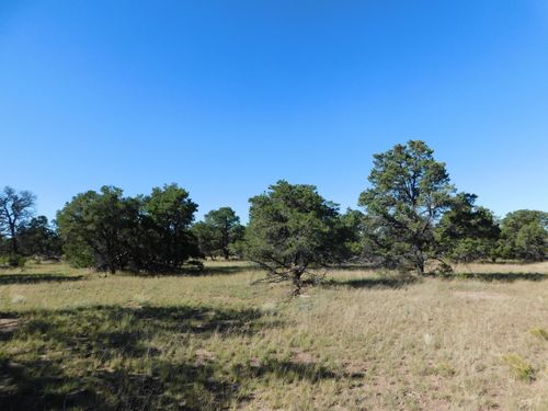 43 Brook Blvd, Quemado, NM, 87829 | Card Image
