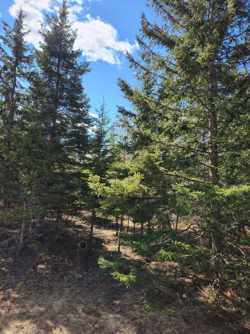 46.6 Acres +/- Vacant Land Us-131, Boyne Falls, MI, 49713 | Card Image