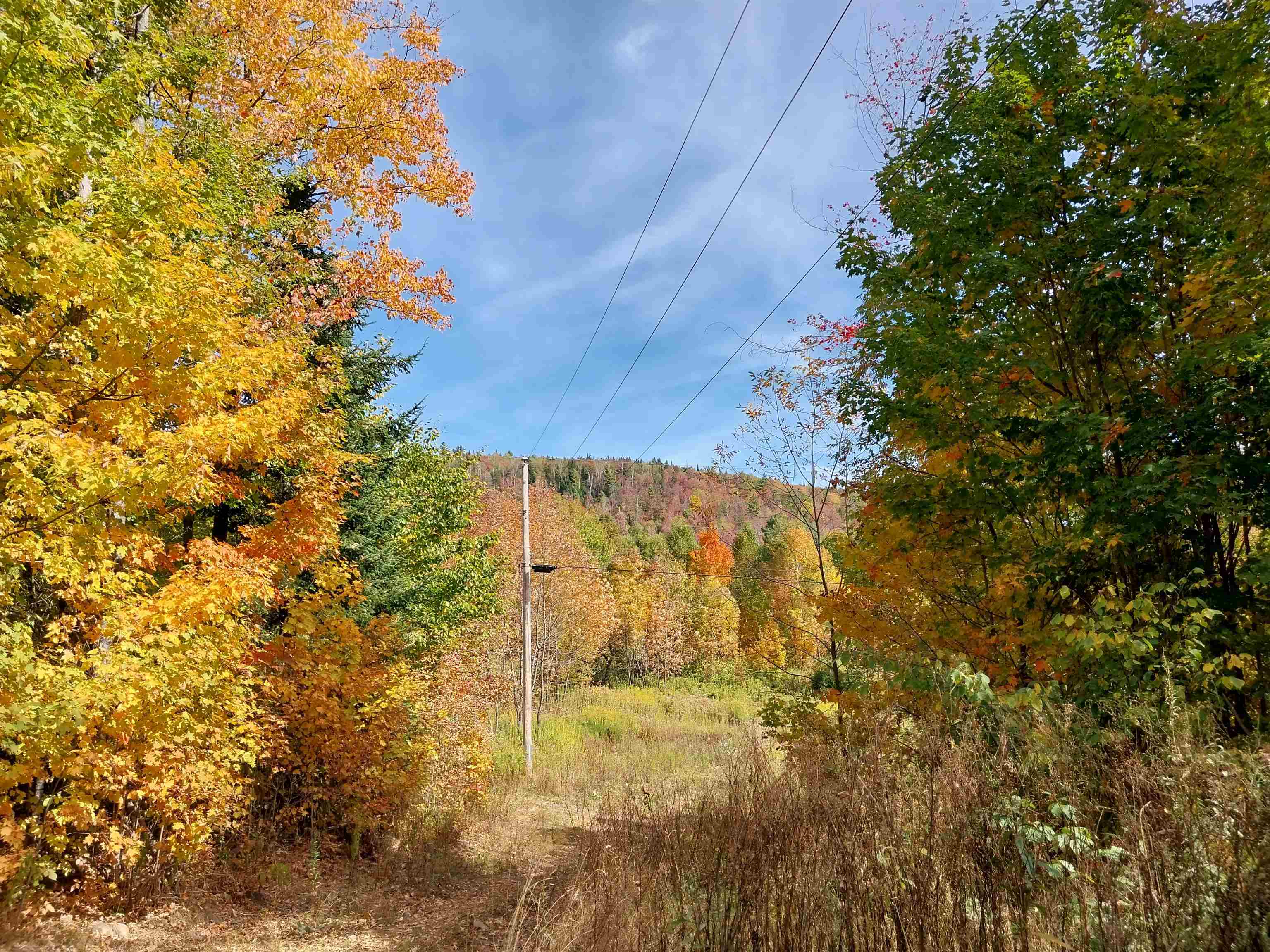 Land in Concord
