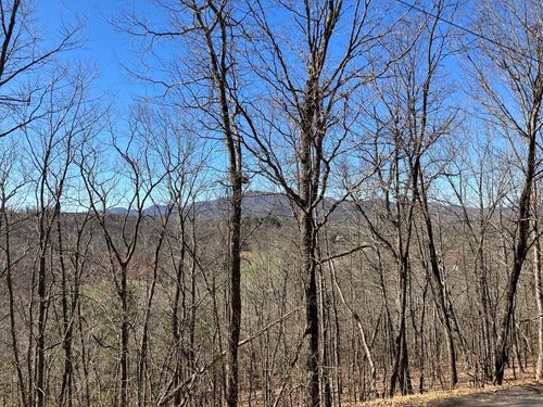 Lot 4 Mirandi Dr, Warne, NC, 28909-8744 | Card Image