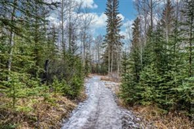 117 - 200 Prospect Hts, Home with 3 bedrooms, 3 bathrooms and 4 parking in Canmore AB | Image 50