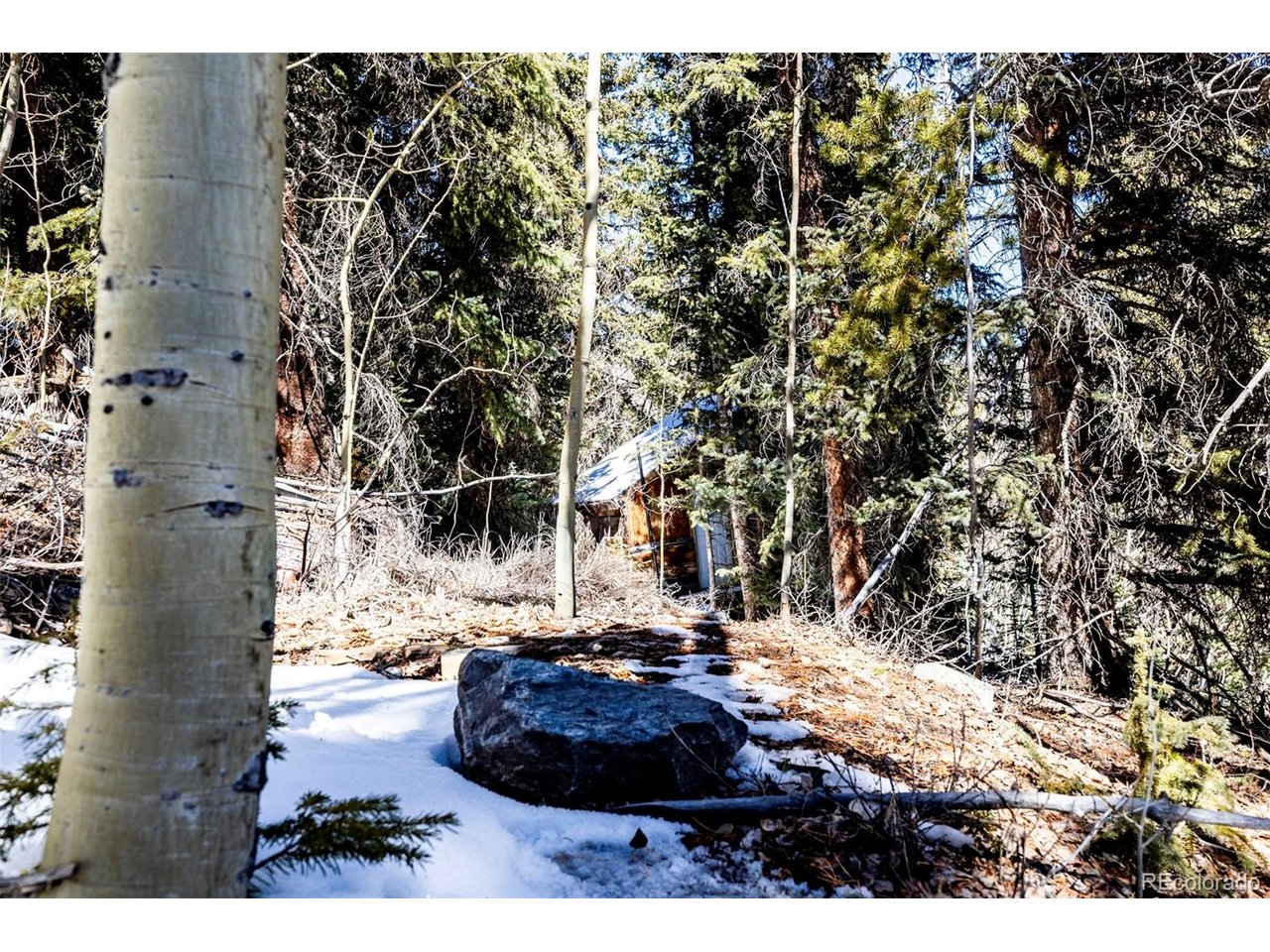 Land in Alma