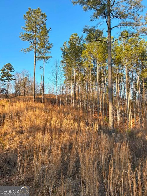 LT 80 Seven Mile Creek Road, Talking Rock, GA, 30175 | Card Image