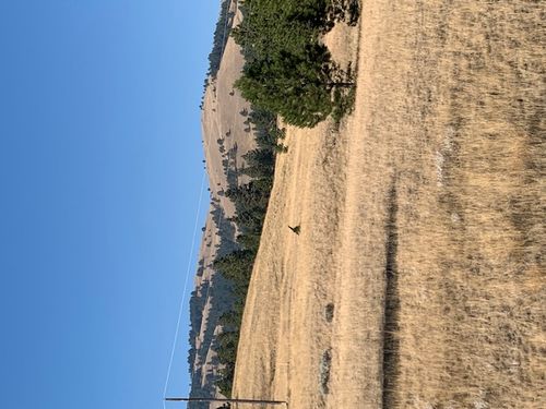 ttbbdd Holmes Gulch Road, Montana City, MT, 59634 | Card Image
