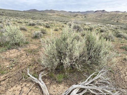 TBD Kittridge Canyon Rd, Elko, NV, 89801 | Card Image