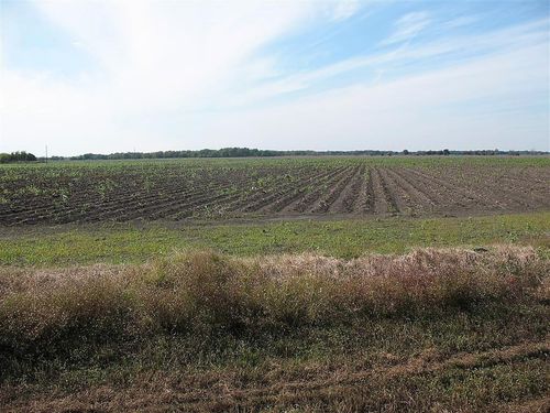 28002 Highway 36 At County Road 21 Highway, Damon, TX, 77430 | Card Image