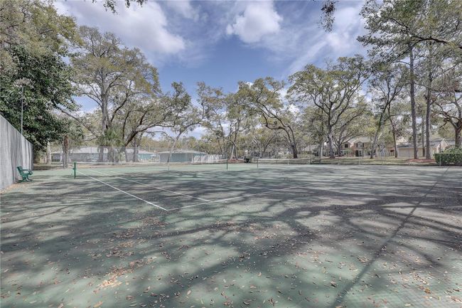 2312 Tallyho Ln, House other with 2 bedrooms, 3 bathrooms and null parking in PALM HARBOR FL | Image 40