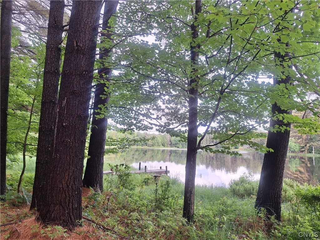 Lone Pine Lake Rd, Forestport, NY 13338