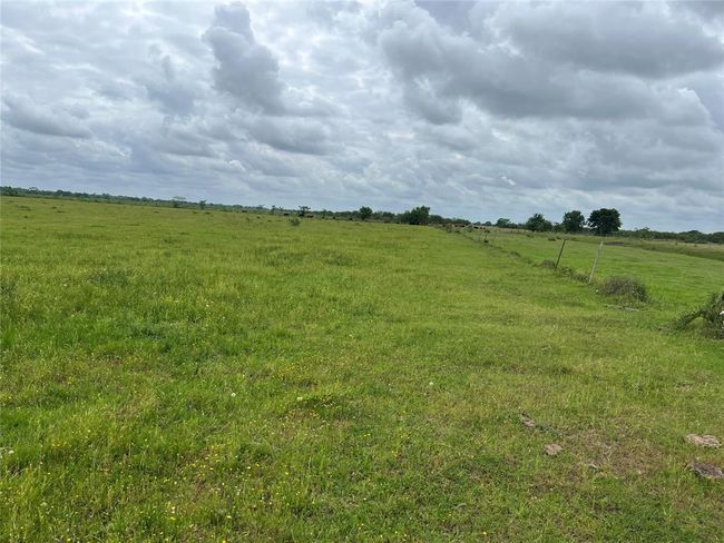 2627 Beasley West End Rd, Home with 0 bedrooms, 0 bathrooms and null parking in Beasley TX | Image 18